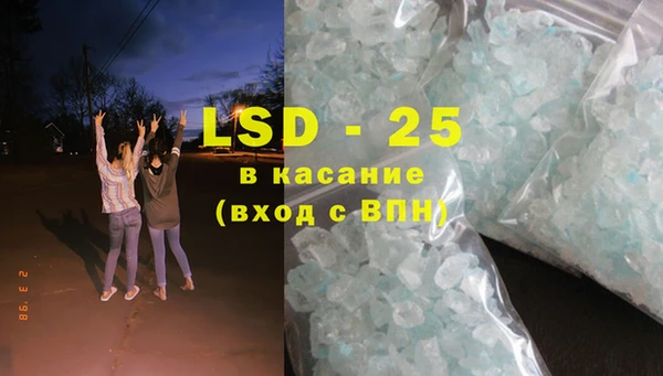 шишки Верхний Тагил