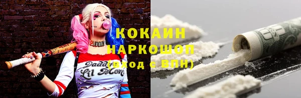 шишки Верхний Тагил