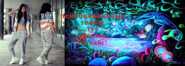 бошки Верея