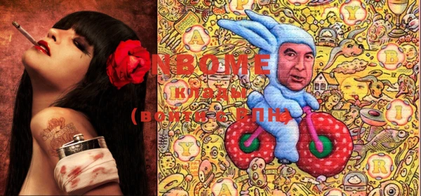 шишки Верхний Тагил