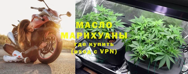 шишки Верхний Тагил