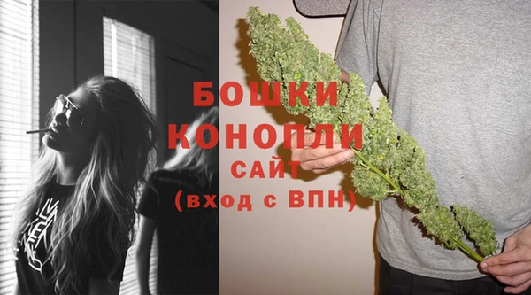 ПСИЛОЦИБИНОВЫЕ ГРИБЫ Волоколамск