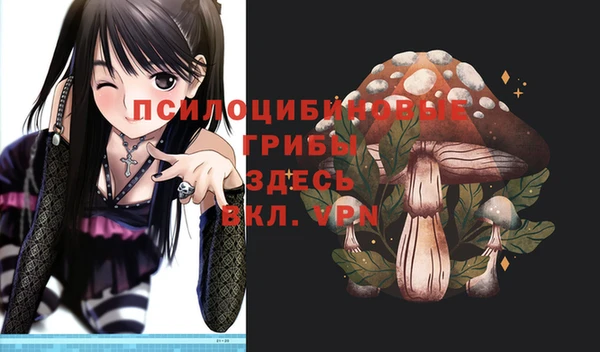 ПСИЛОЦИБИНОВЫЕ ГРИБЫ Волоколамск