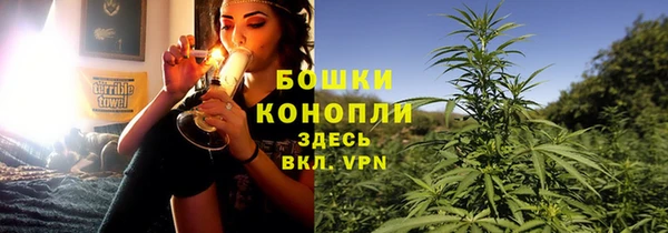 бошки Верея