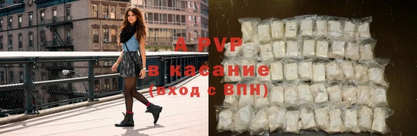 шишки Верхний Тагил