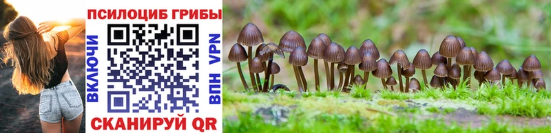 где купить наркотик  Красногорск  Псилоцибиновые грибы Magic Shrooms 